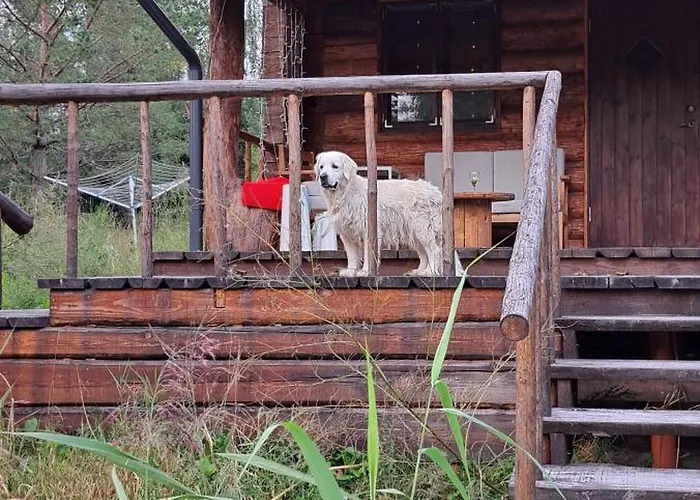 Raistiko Sauna / Raistiko Saunamaja بيت للعطل Punakula